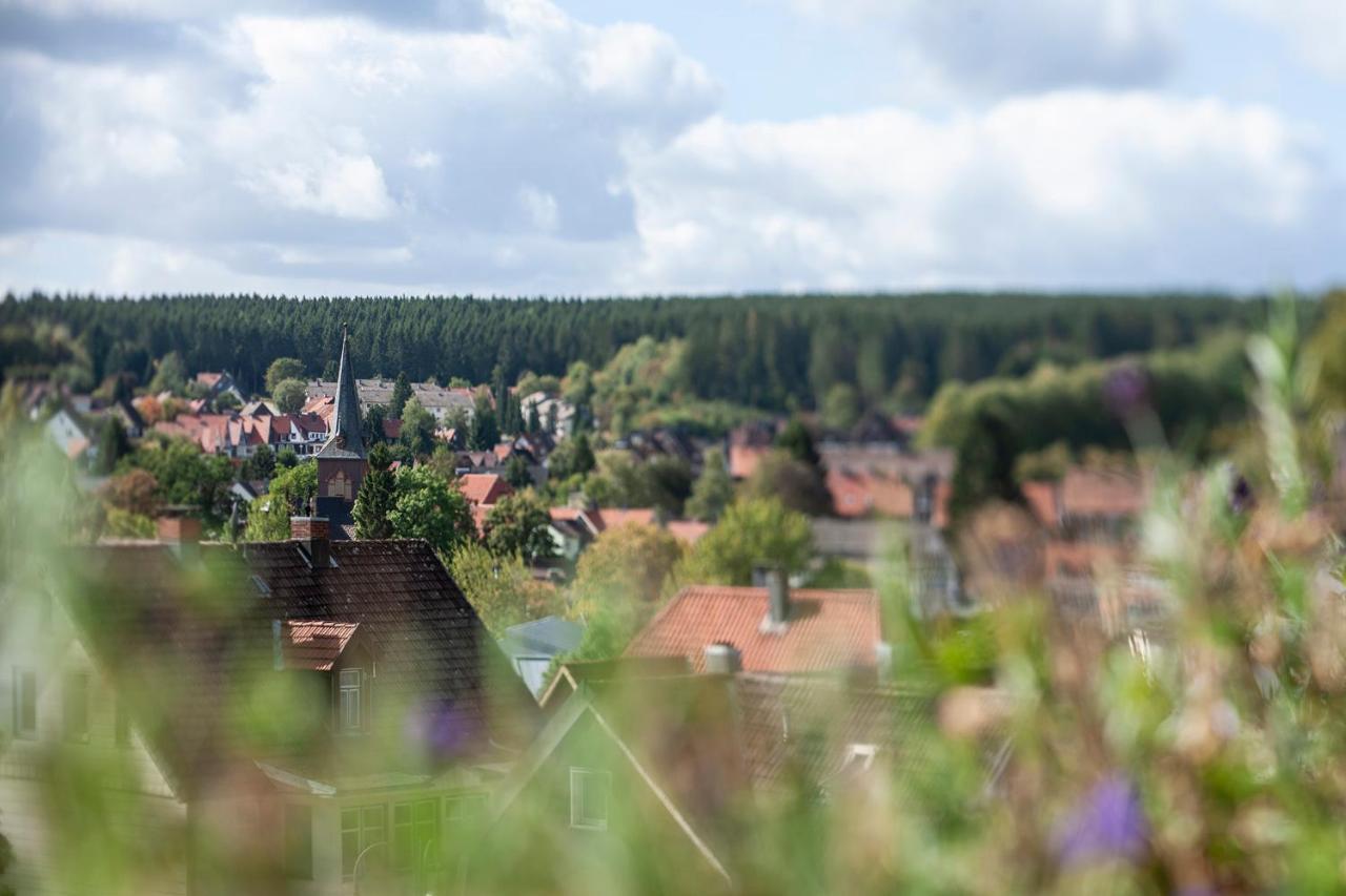Berg Und Tal Hotel & Apartments Braunlage Exterior photo